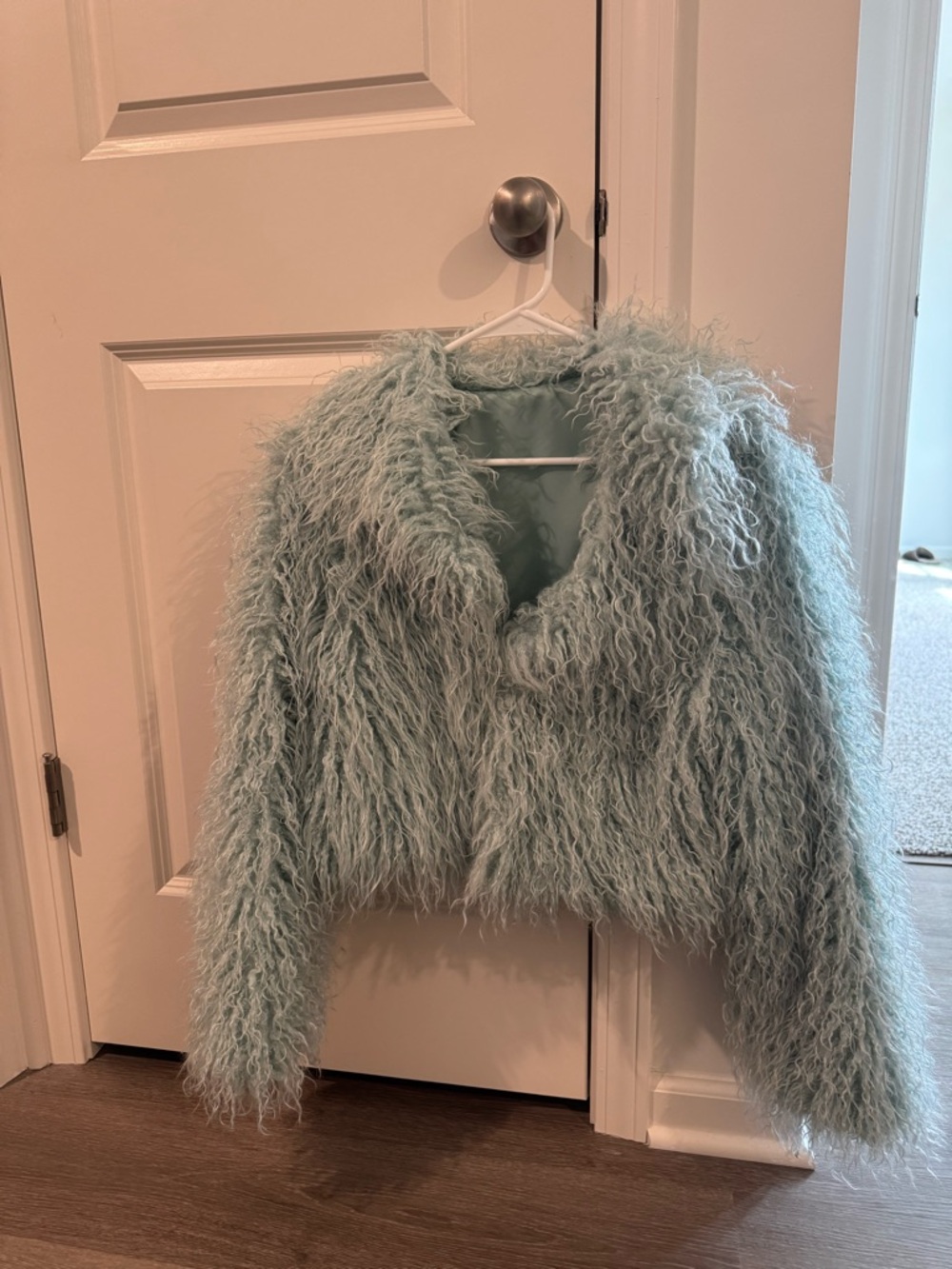 SHEIN Pale Sage Shaggy Faux Fur Coat